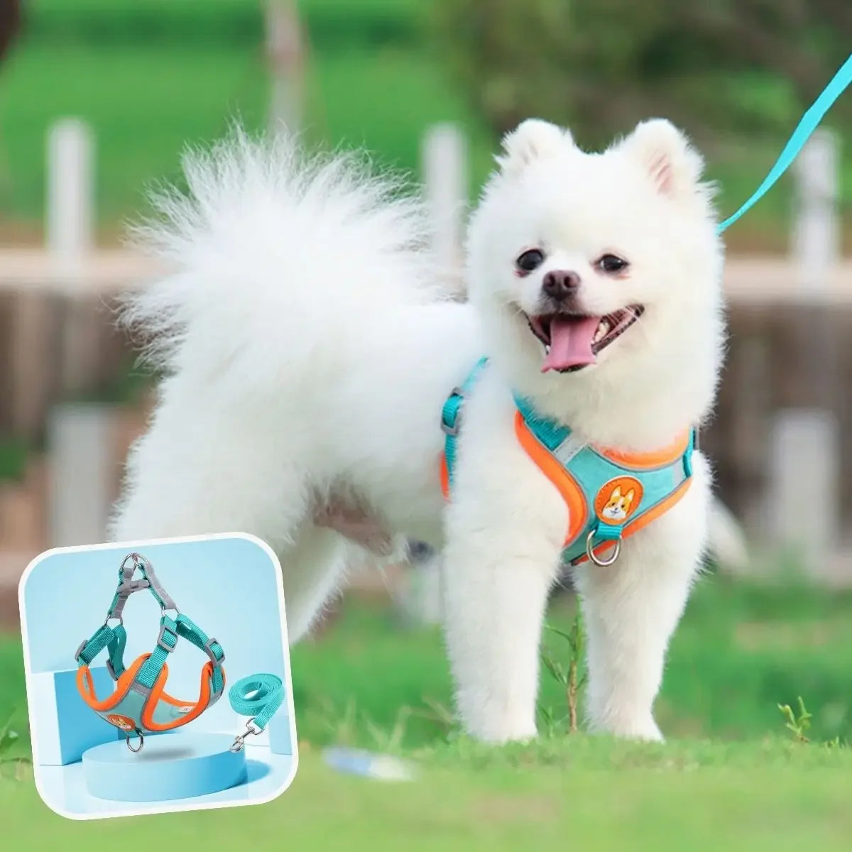 Harnais pour petit chien PupHarness™ turquoise avec laisse assortie offerte