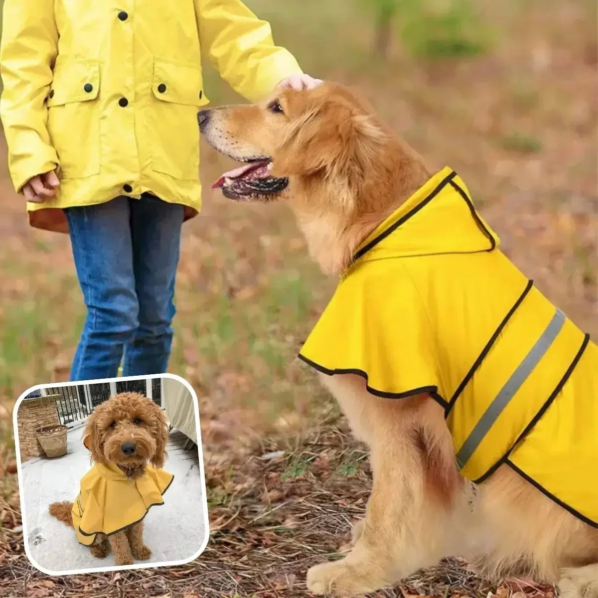 Imperméable chien jaune AquaProtect™ par temps pluvieux