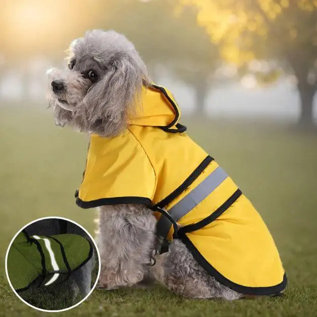 Imperméable fashion chien