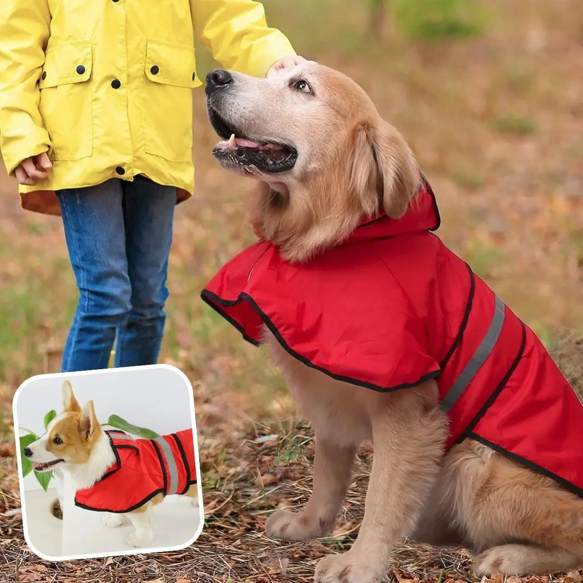 Imperméable chien rouge AquaProtect™ en forêt