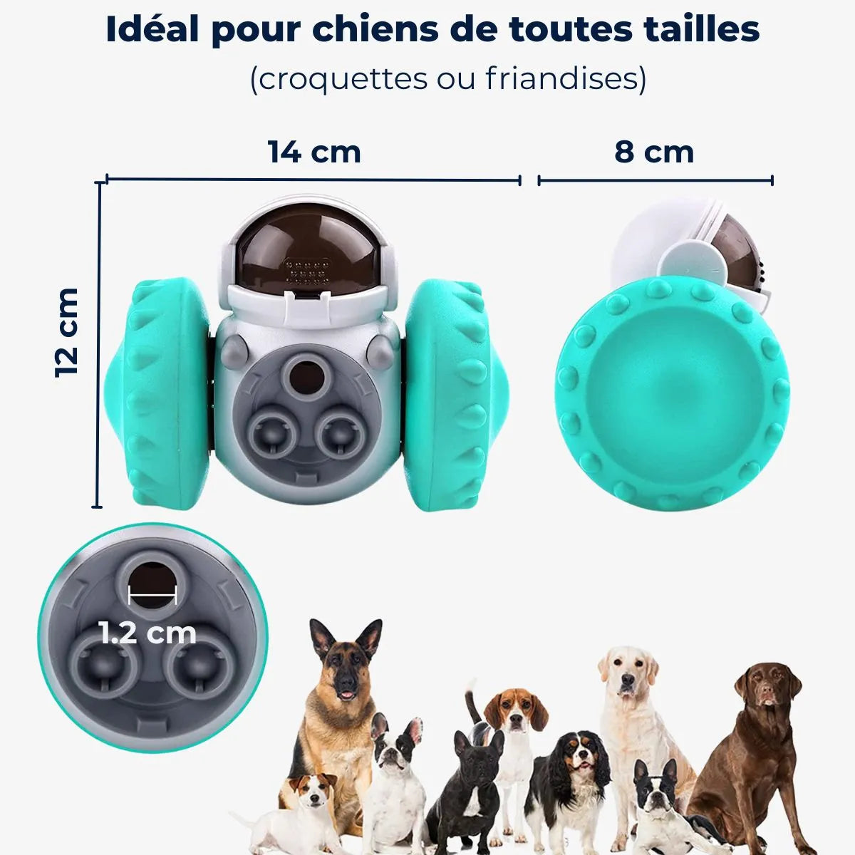 Jouet distributeur de croquettes pour chien - dimensions - toutes races
