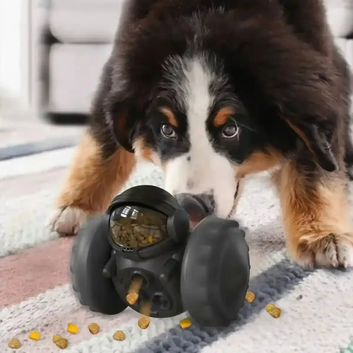 Jouet distributeur de croquettes chien -roues noires