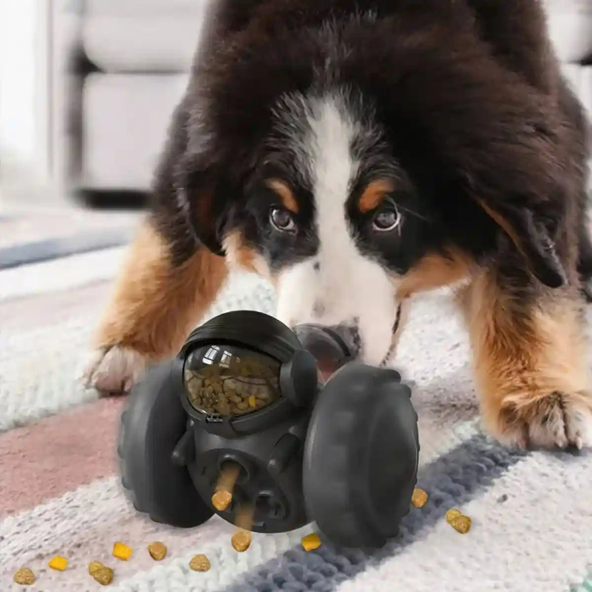 Jouet distributeur de croquettes chien -roues noires