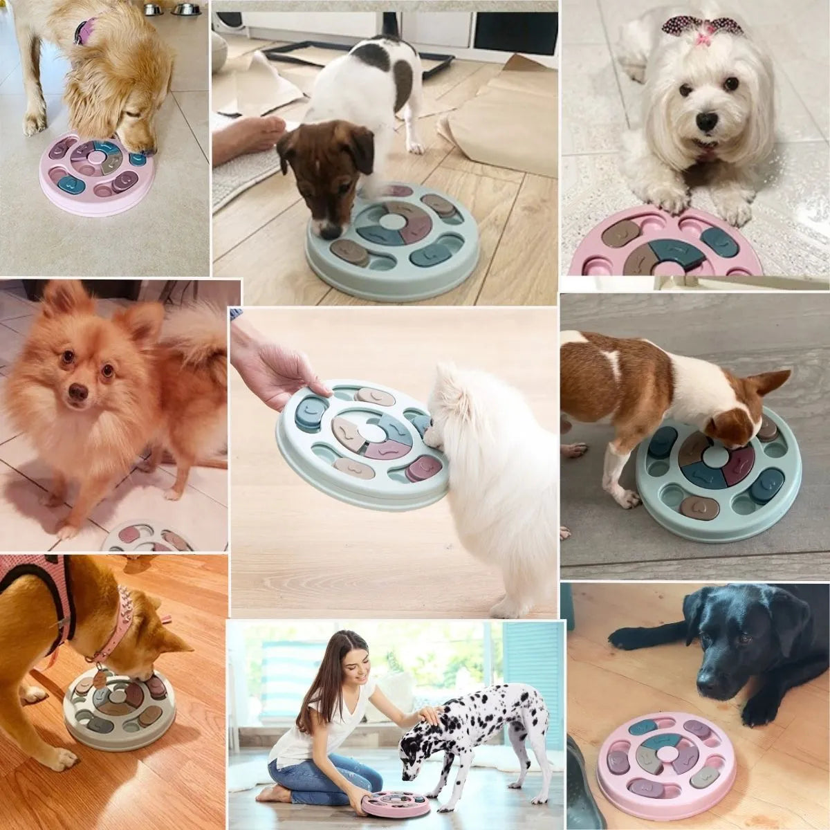 Jouet d'occupation chien adapté à toutes les races de chiens