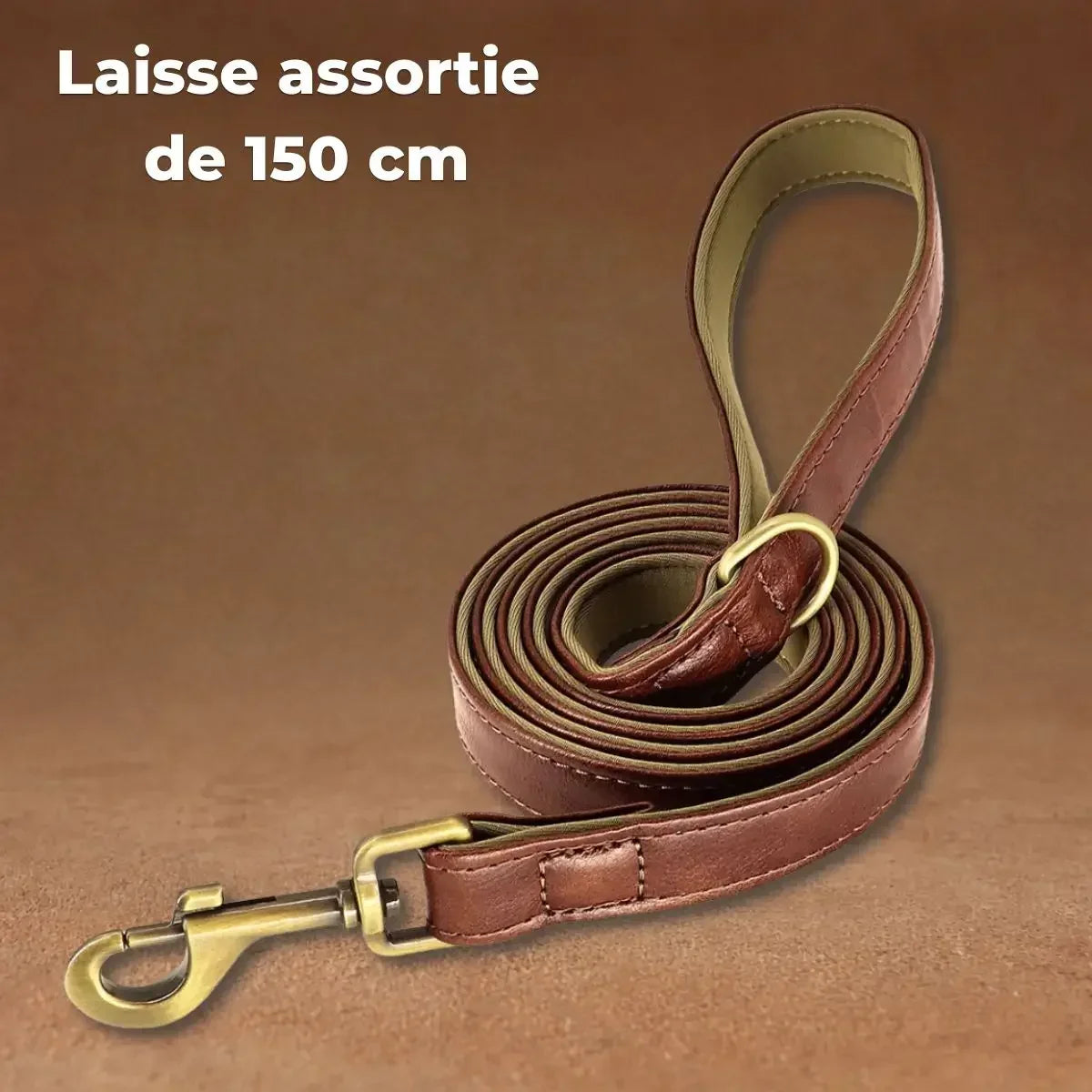 Laisse assortie de 150 cm Veïla™ avec doublure douce et mousqueton métallique