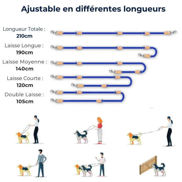 laisse-multiposition-adaptable