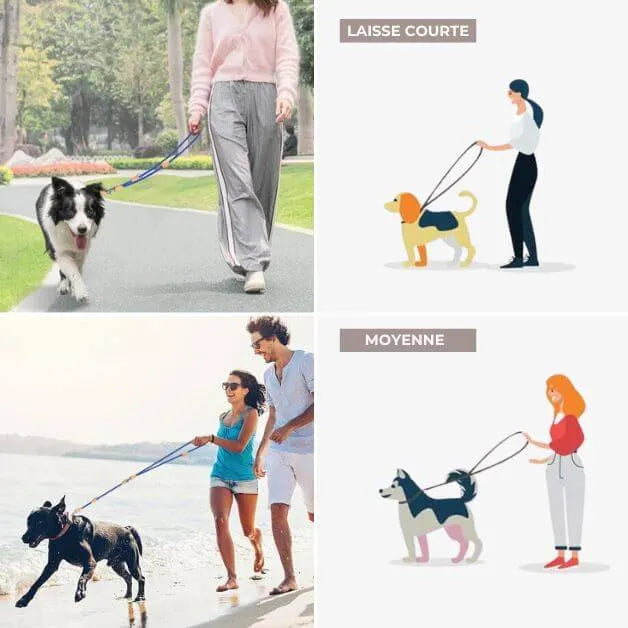 laisse-multiposition-corde