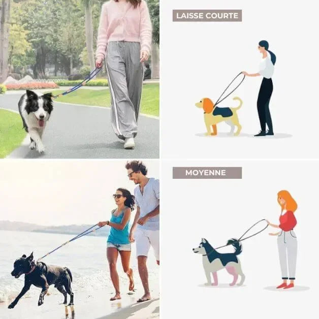Laisse chien multiposition All-In-One™ en corde comme laisse courte ou laisse de taille moyenne