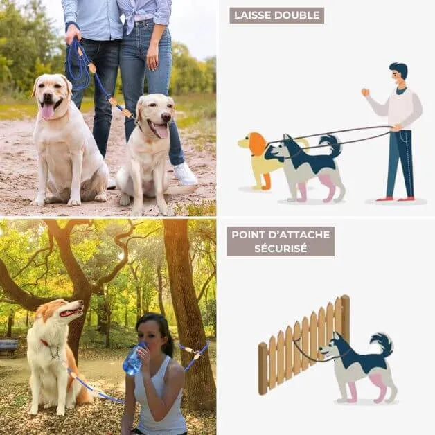 laisse-multiposition-double