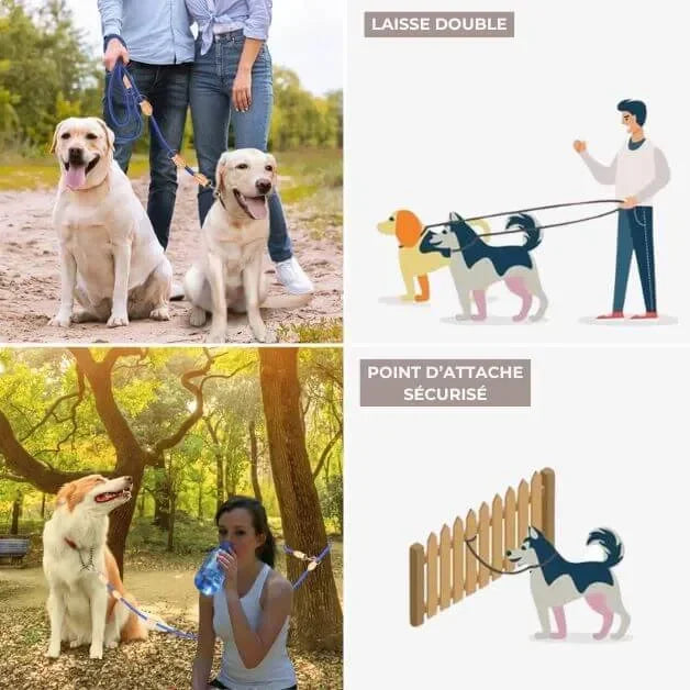 Laisse multiposition All-In-One™ en laisse double ou comme point d'attache sécurisé