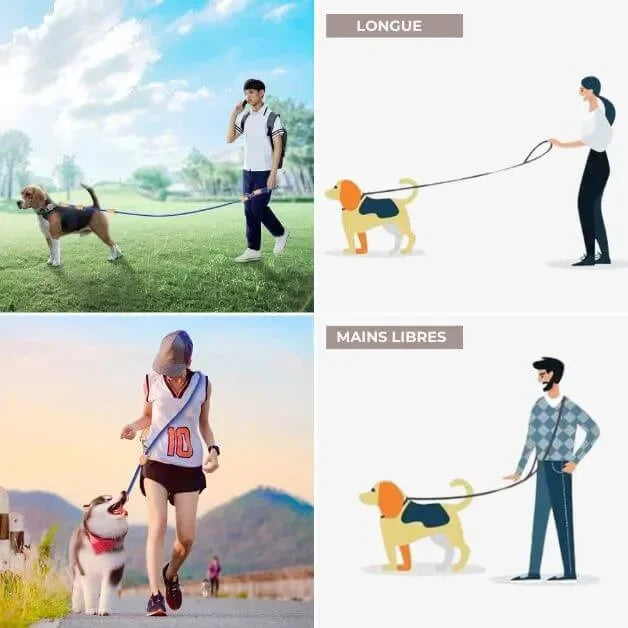 Laisse chien multiposition All-In-One™ comme laisse longue ou laisse mains libres