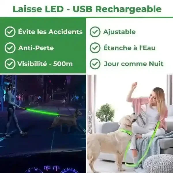 Laisse pour chien LED et rechargeable USB LuminoPawâą et ses avantages