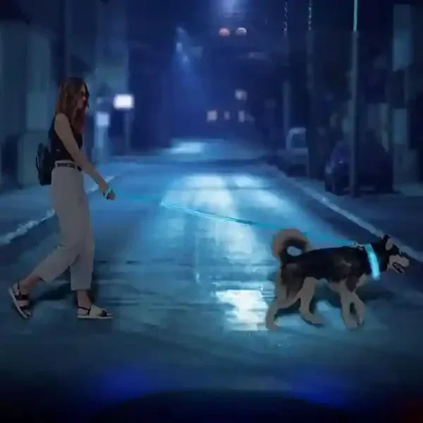 Laisse pour chien lumineuse bleue LuminoPawâą