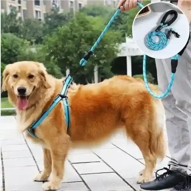 Laisse pour chien ComfyLeash™ bleue