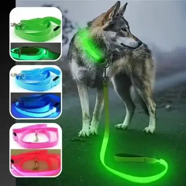 Laisse pour chien LuminoPawâą disponible en plusieurs couleurs