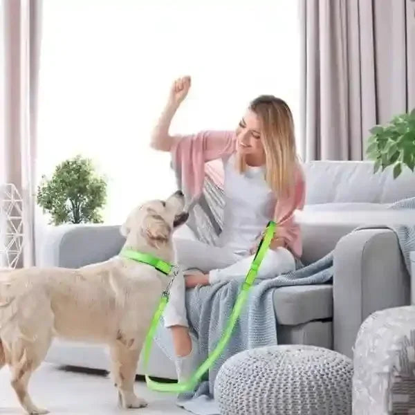 Laisse pour chien LuminoPaw⹠utilisée en journée