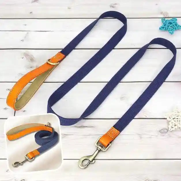 laisse-pour-chien-poignée-cuir-bleue