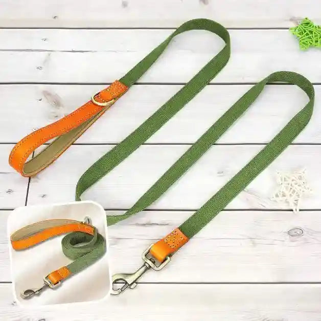 laisse-pour-chien-poignée-cuir-verte