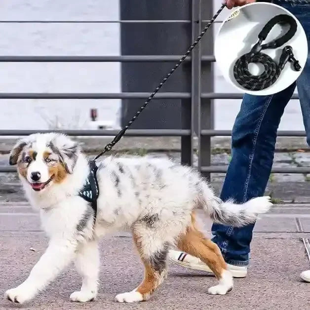 Laisse pour chien ComfyLeash™ noire avec poignée rembourrée