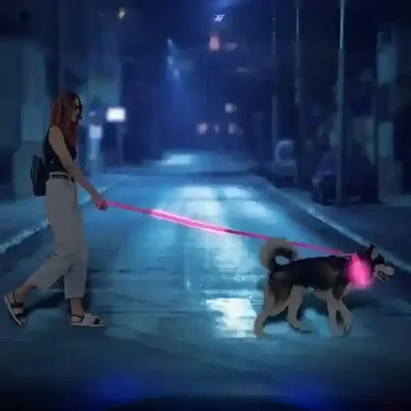 Laisse pour chien lumineuse rose LuminoPawâą