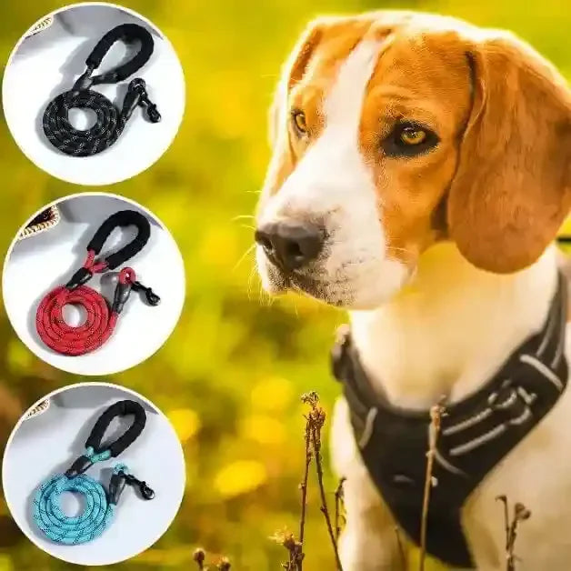 Laisse pour chien ComfyLeash™ en plusieurs couleurs