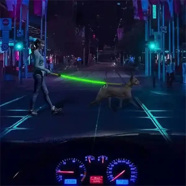 Laisse pour chien lumineuse verte LuminoPawâą