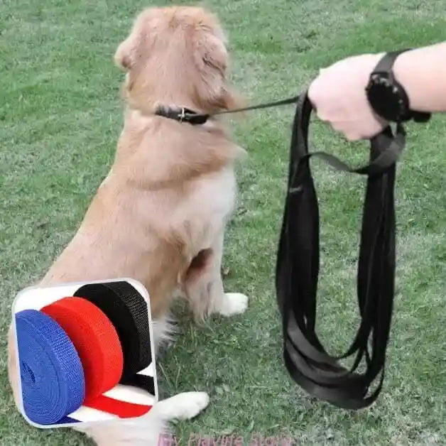 longe-pour-chien-noire