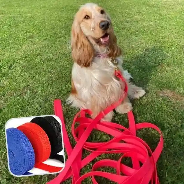 longe-pour-chien-rouge