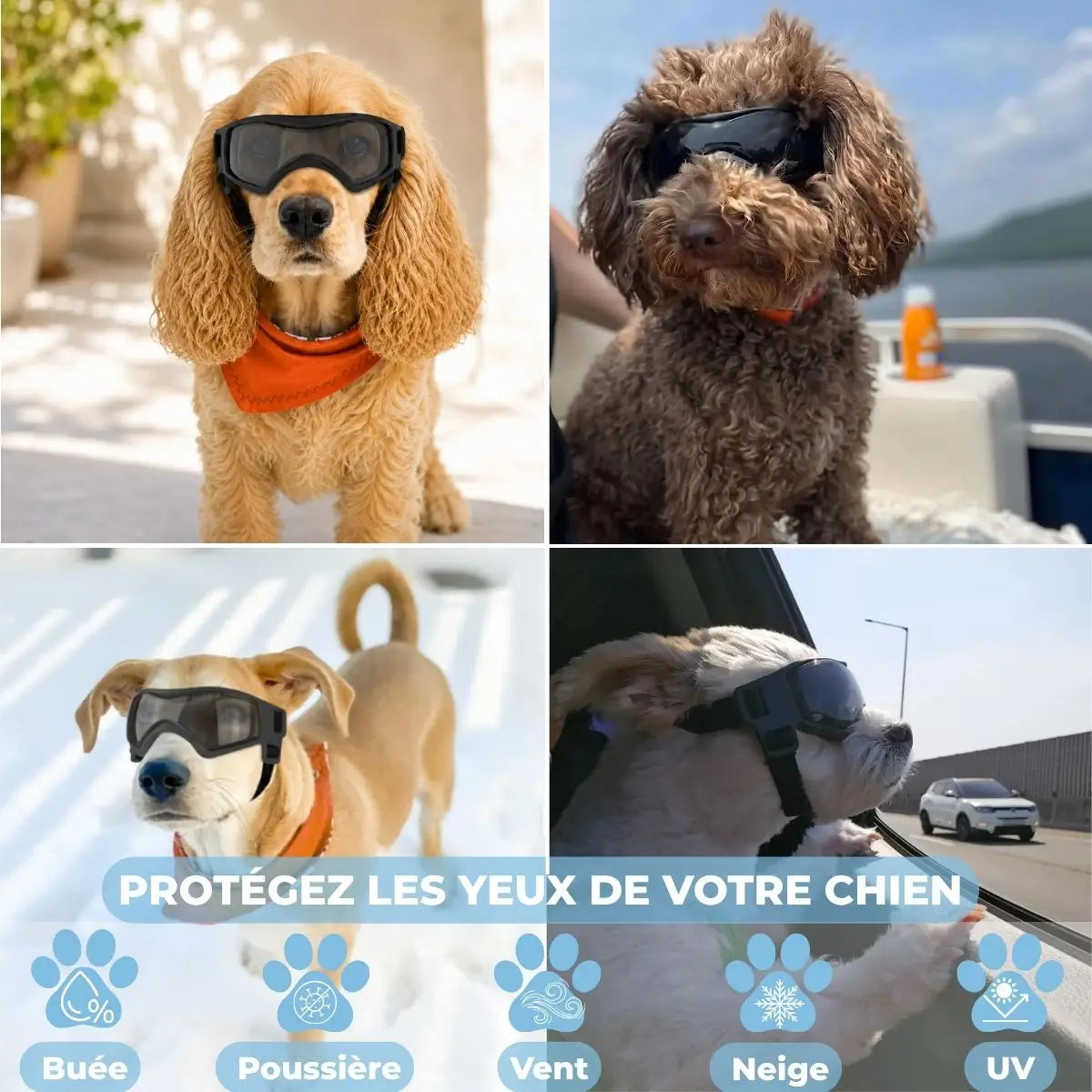 Lunette pour chien anti-buée SunnyDog™ contre le vent, la poussière, la neige et les UV