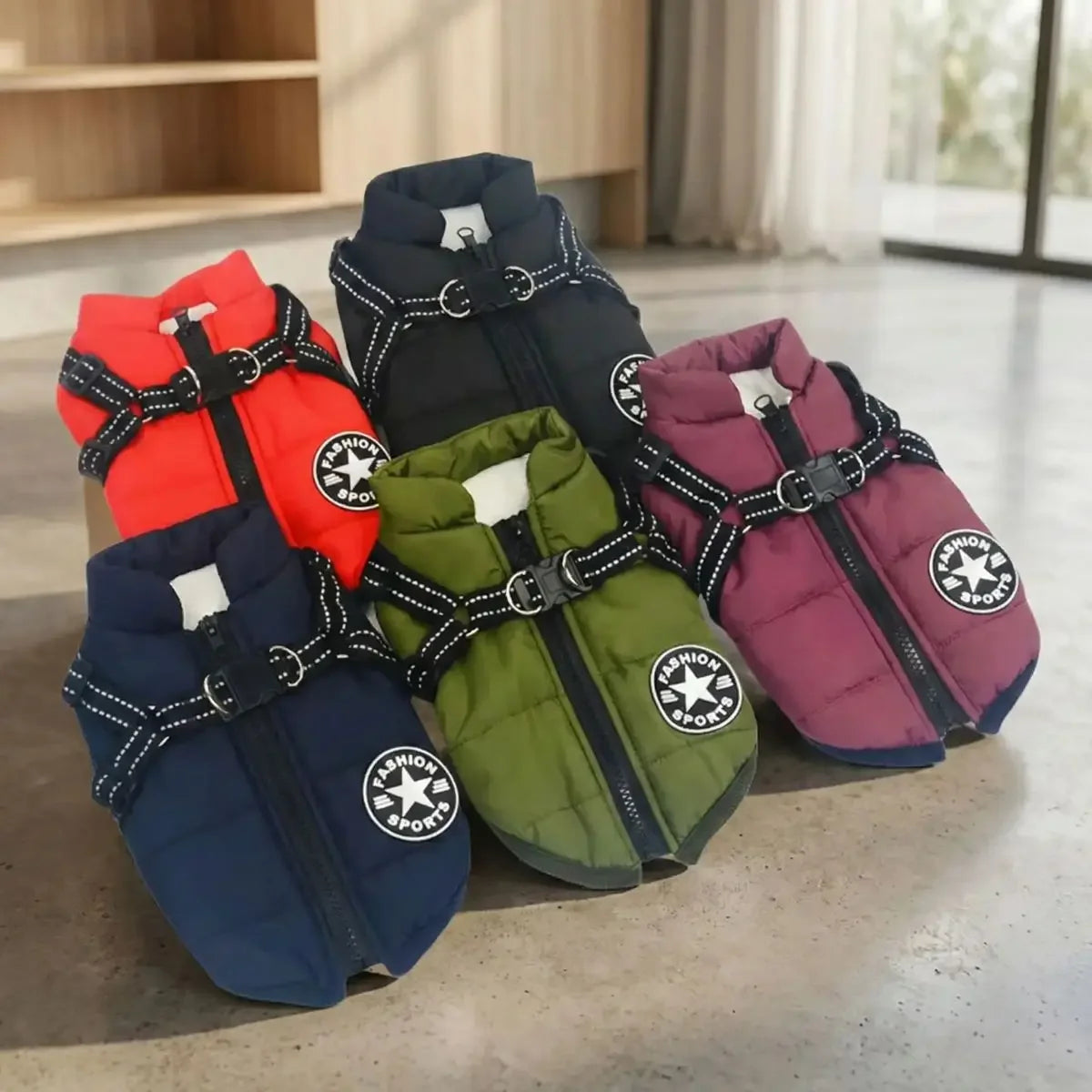 Gamme complète de manteaux harnais imperméables pour chiens.