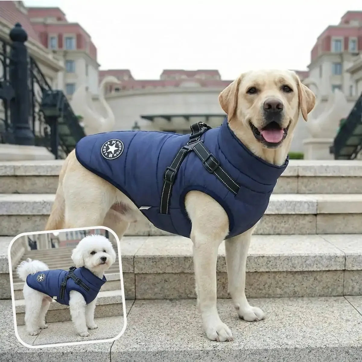 Manteau pour chien avec harnais intégré bleu marine Coat&Walk.
