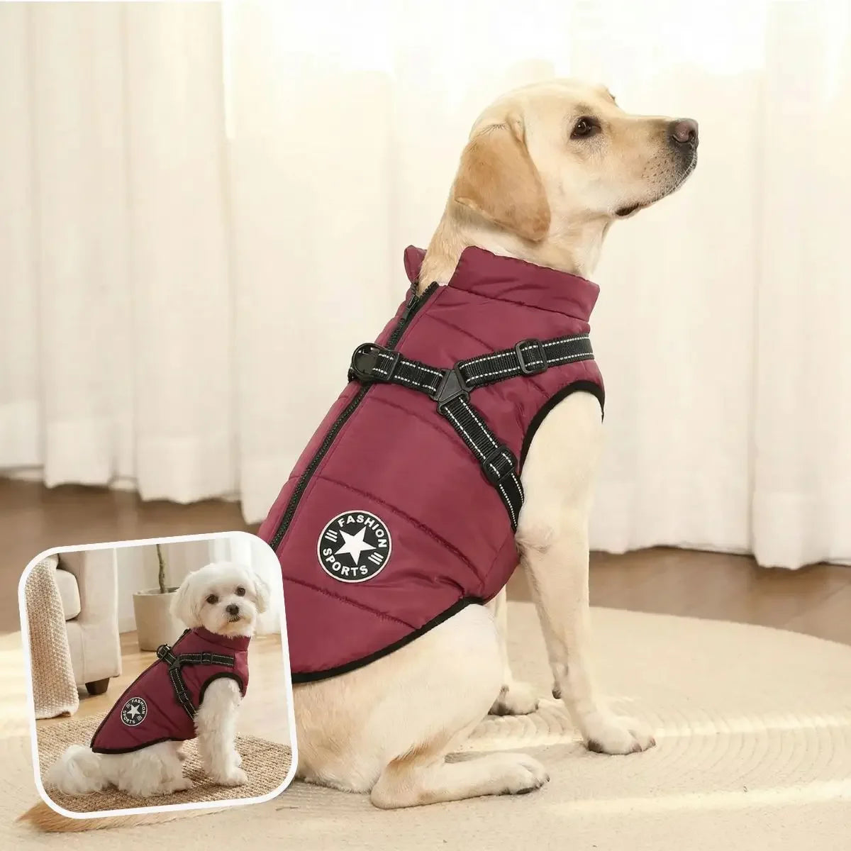 Manteau imperméable pour chien avec harnais intégré bordeaux.