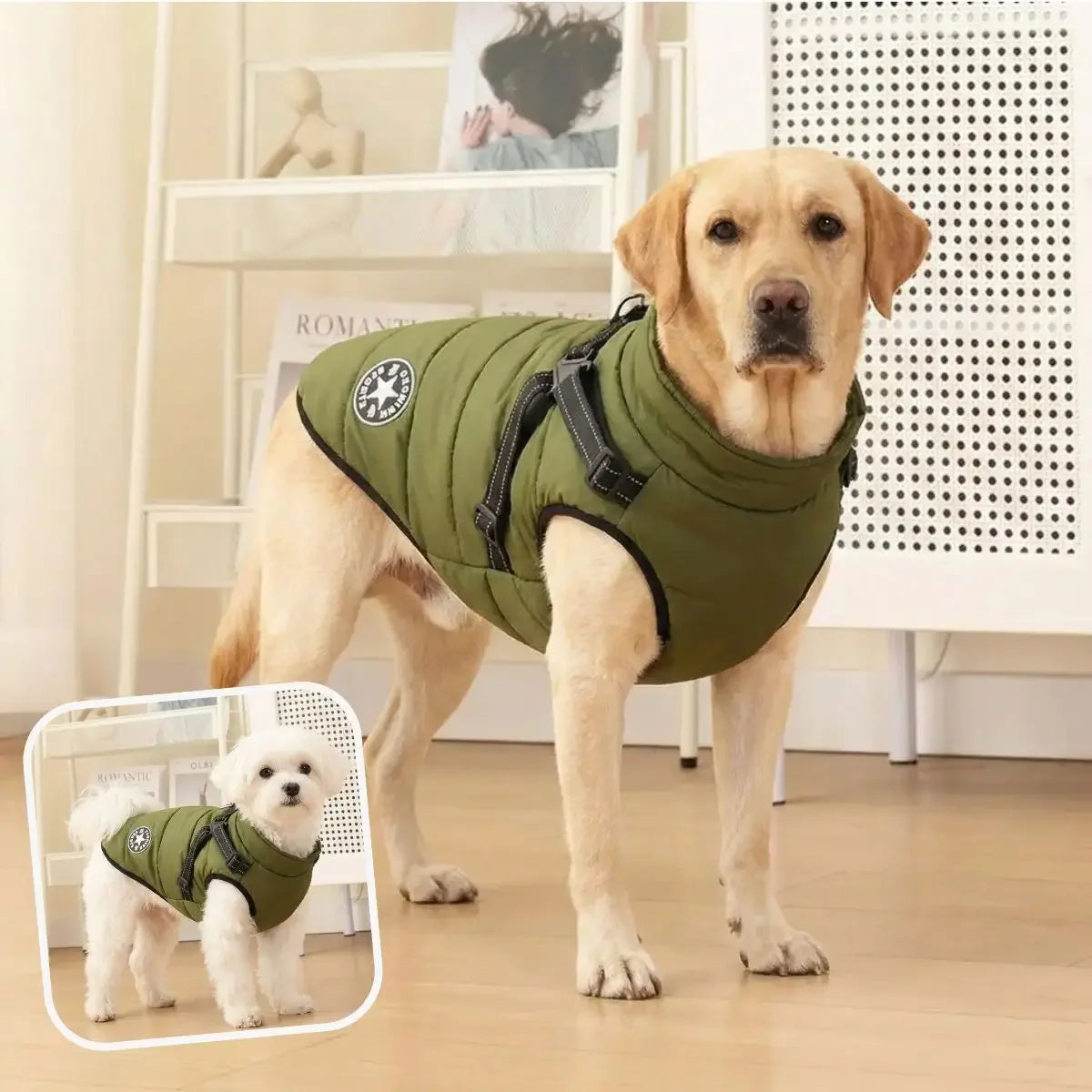 Manteau harnais pour petit chien coloris vert kaki Puppy Pacha.