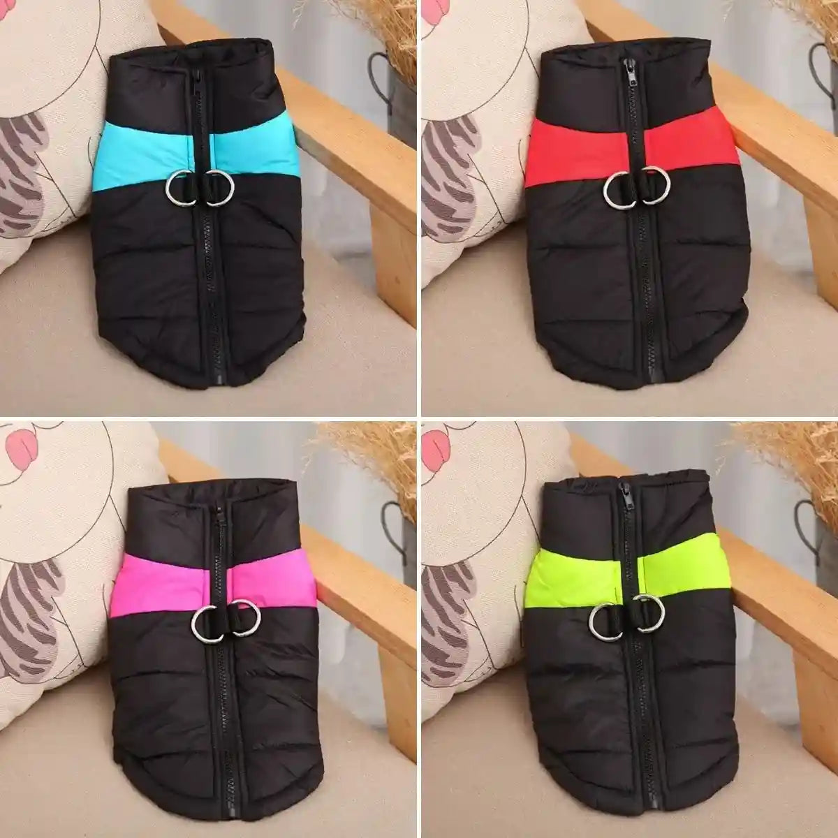 manteau harnais pour chien modèles coloris