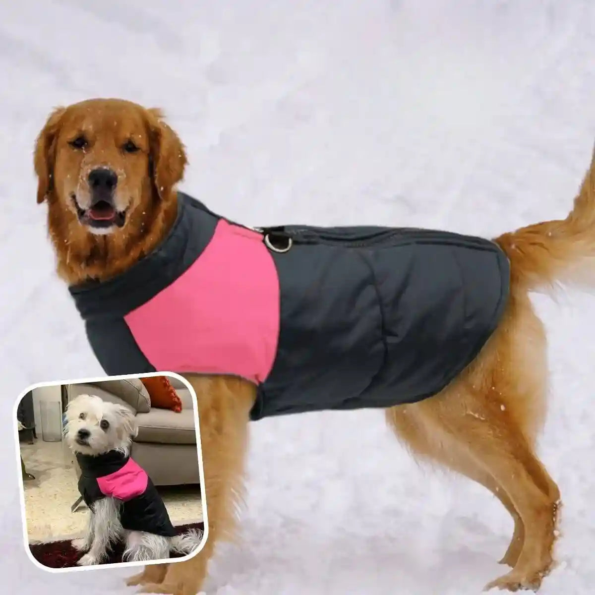 manteau harnais pour chien rose