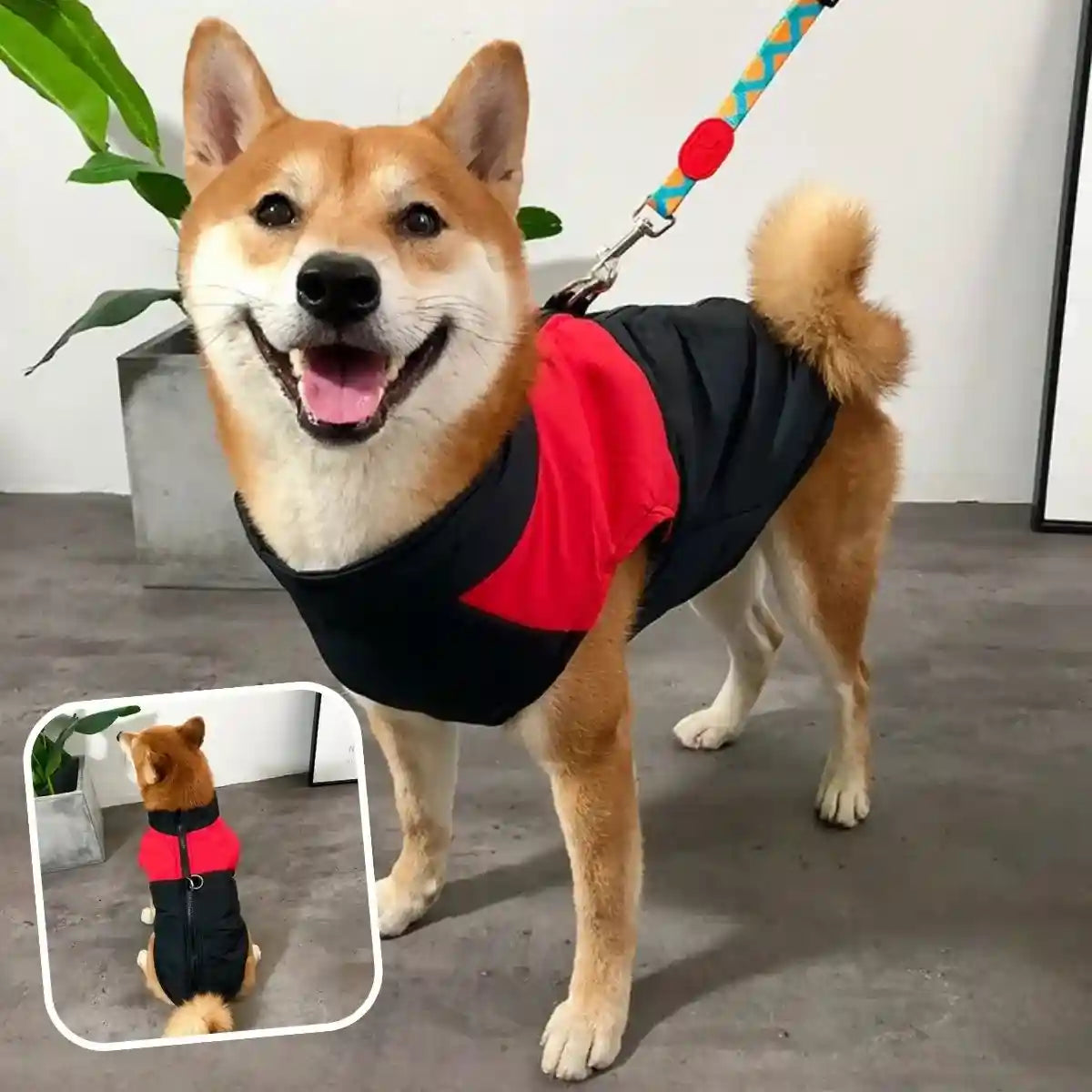 manteau harnais pour chien rouge