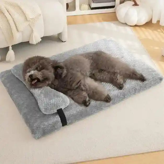 matelas-pour-chien-avec-oreiller