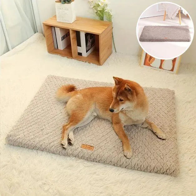 matelas-pour-chien-confortable