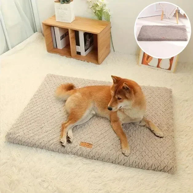 matelas-pour-chien-confortable