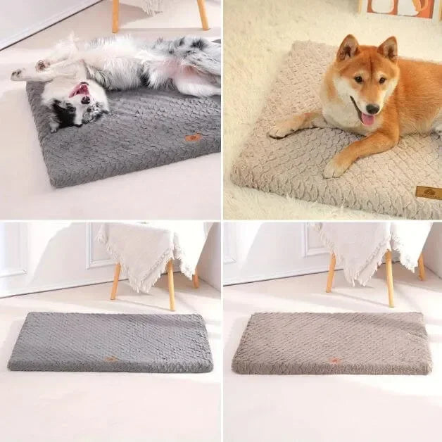 matelas-pour-chien-design