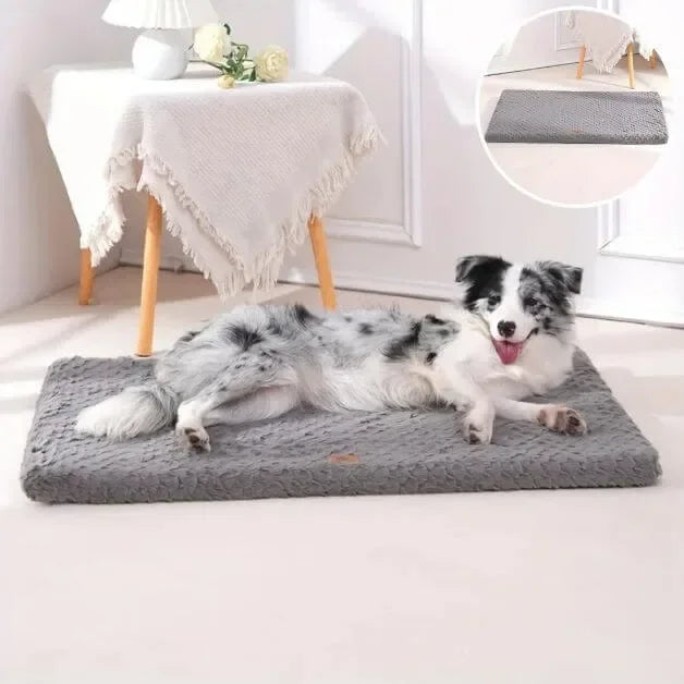 matelas-pour-chien