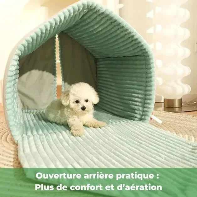 niche-chien-interieur-tapis