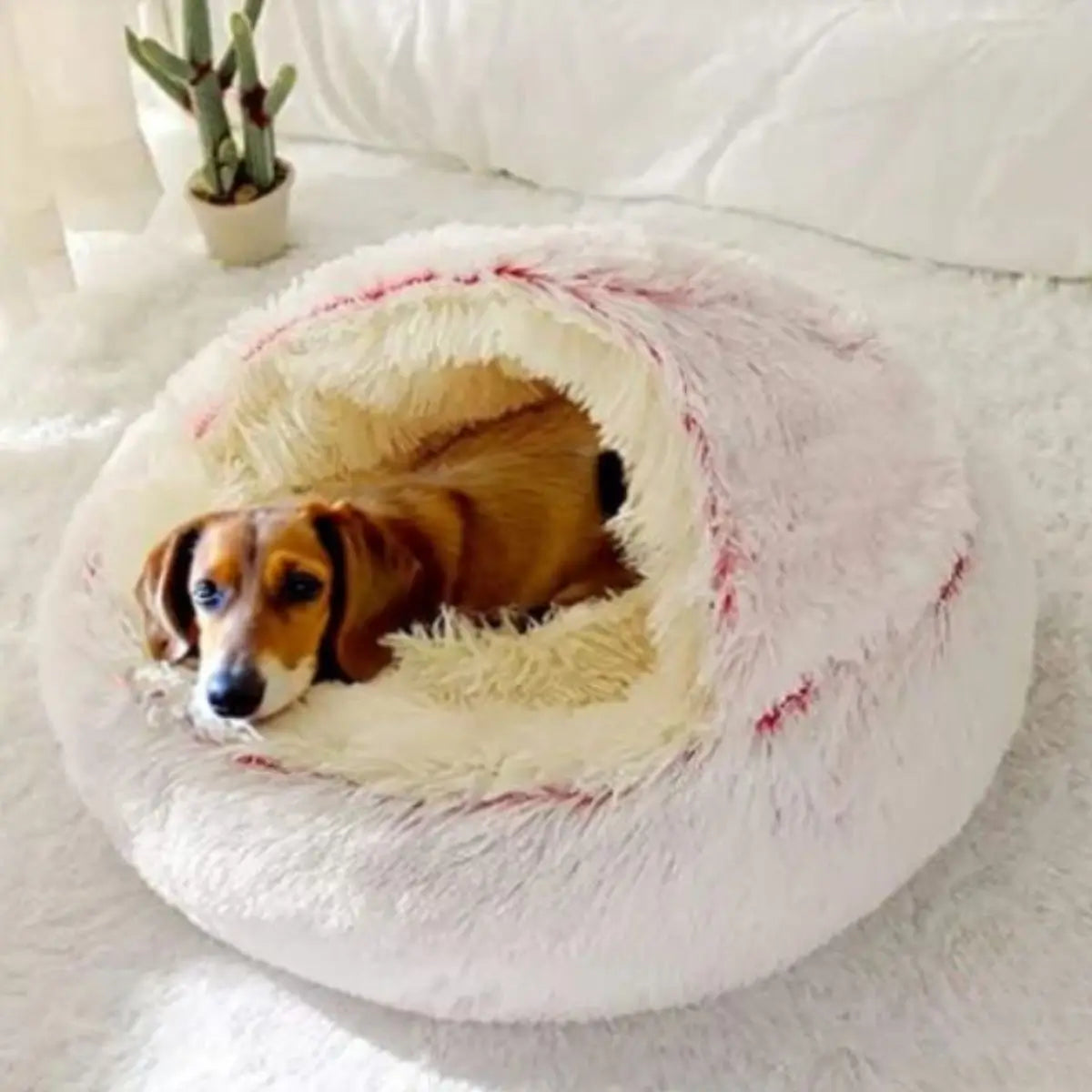 Panier igloo pour chien rose avec teckel