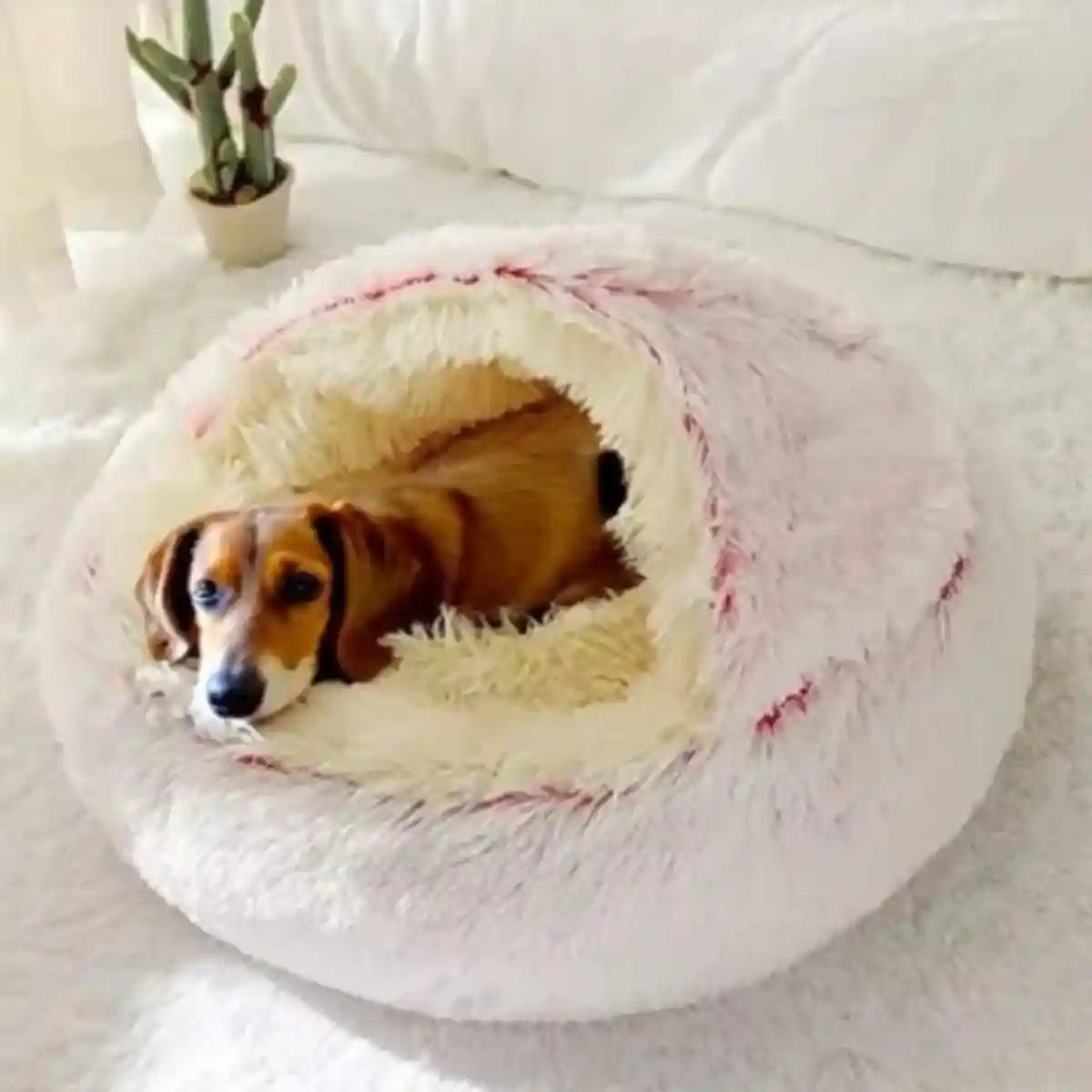 Panier igloo pour chien rose avec teckel