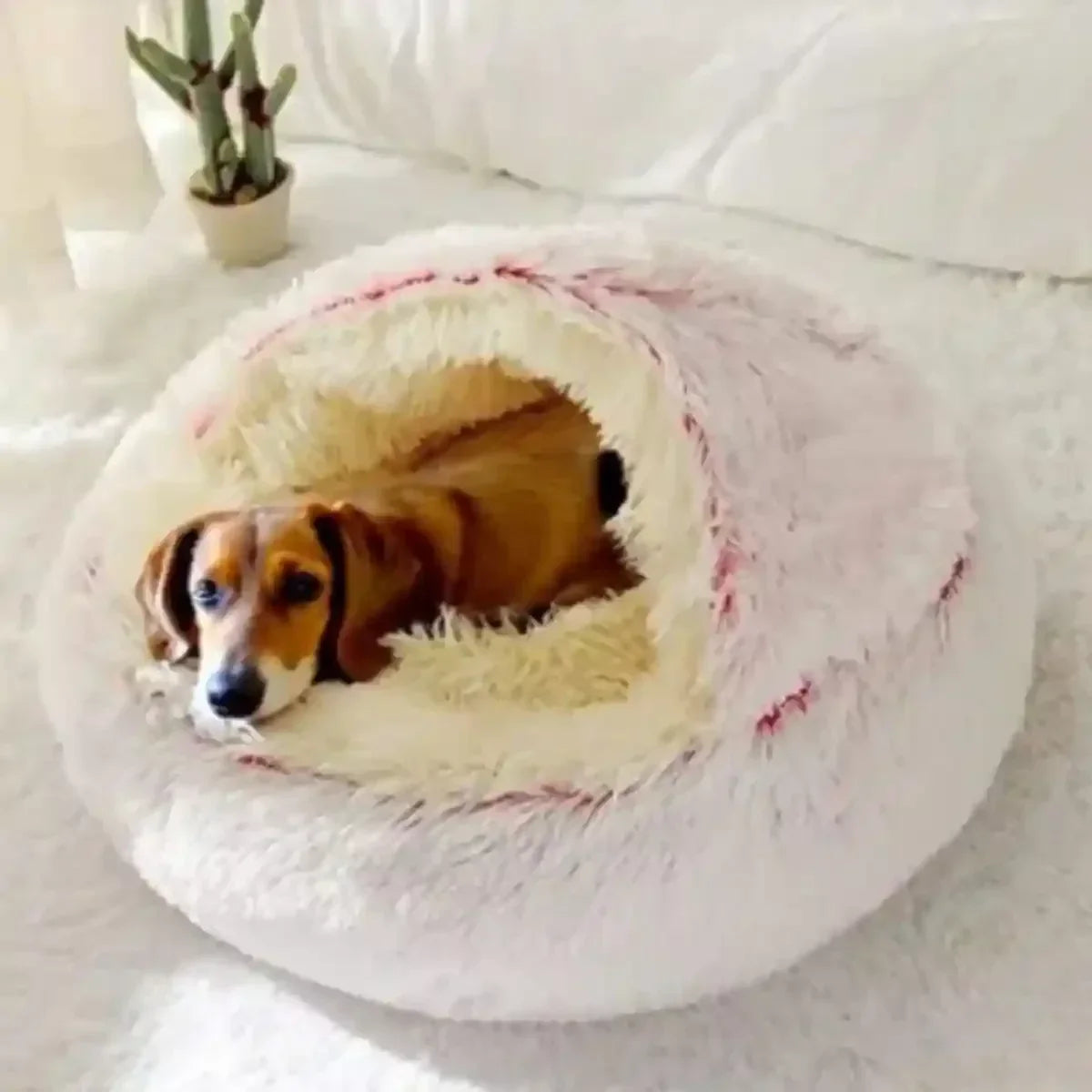 Panier igloo pour chien rose avec teckel