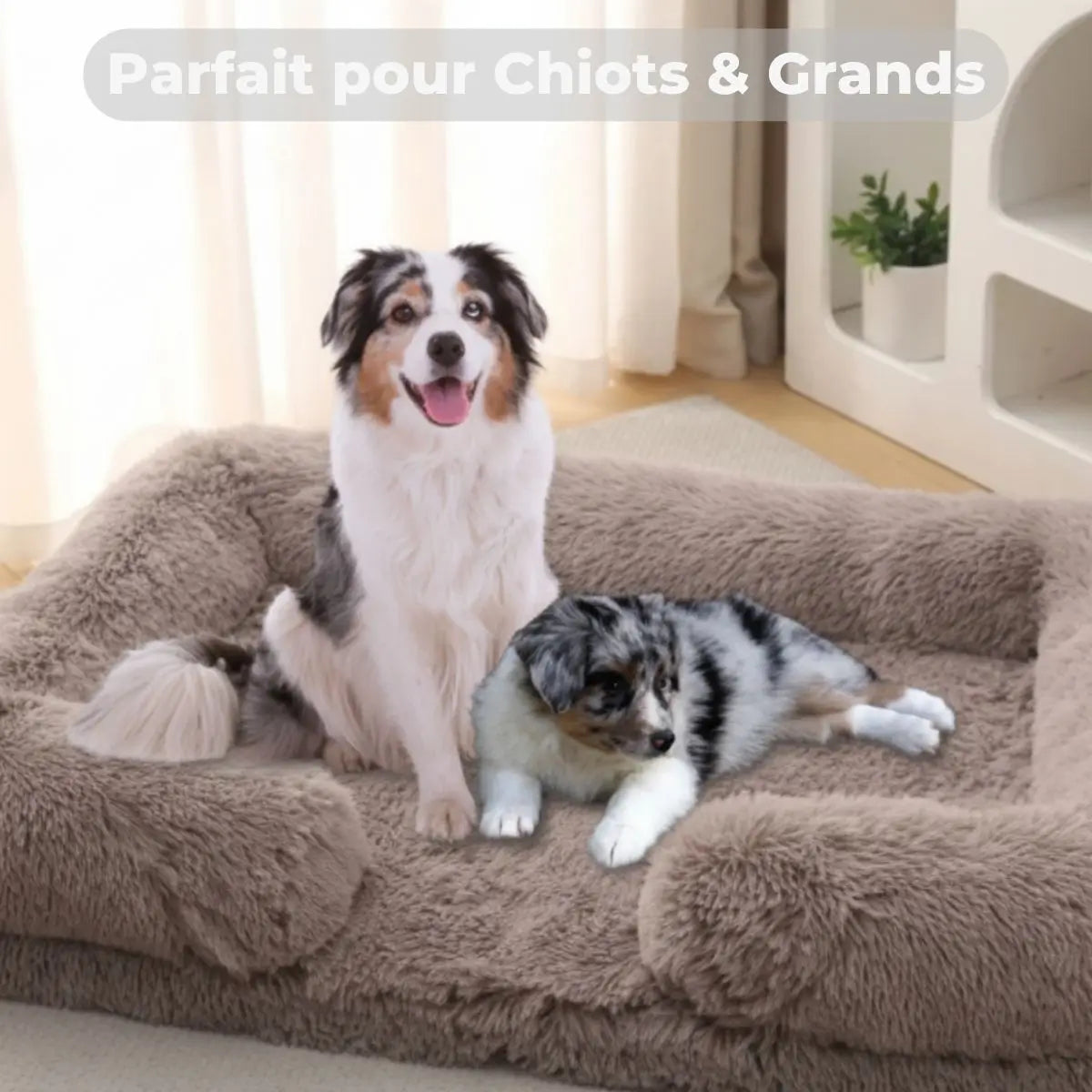 Panier orthopédique pour chien et chiot - modèle CozyDream™ moelleux