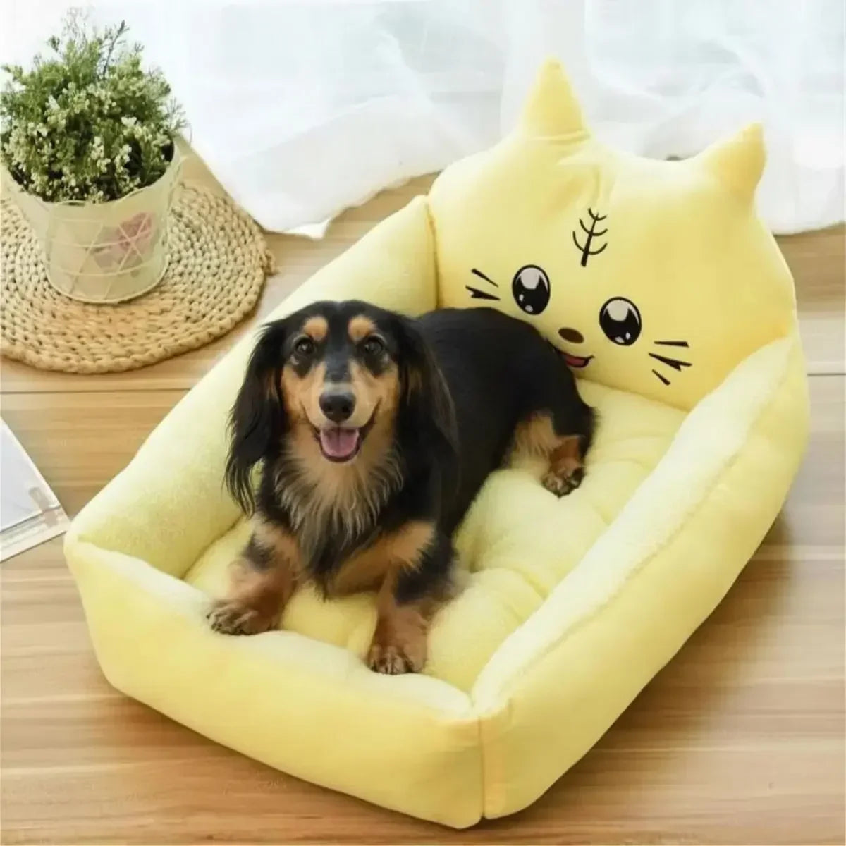 Panier pour chien original PachaPop jaune avec teckel à poil long