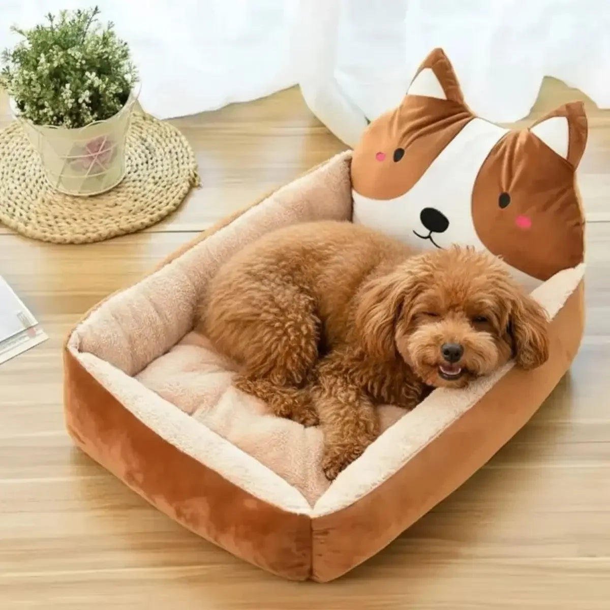 Panier original pour chien PachaPop marron avec caniche abricot couché