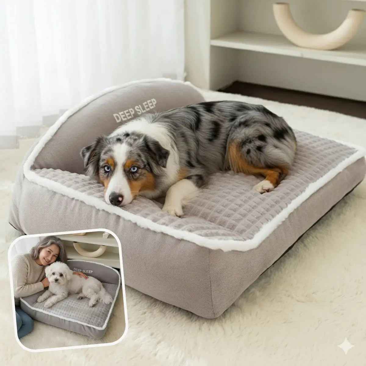 Panier pour chien ultra confort gris DooRêve™ avec chiens détendus