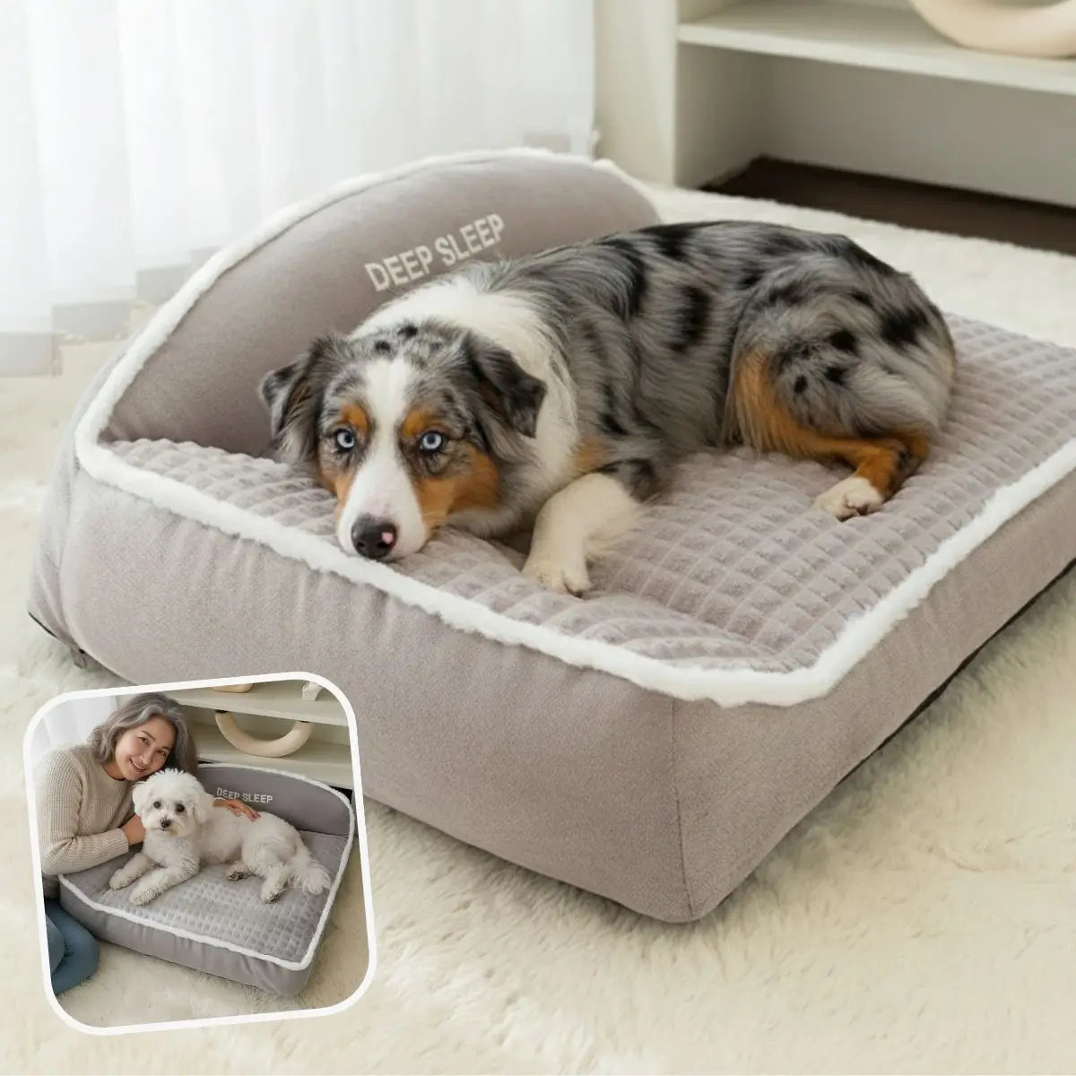 Panier pour chien ultra confort gris DooRêve™ avec chiens détendus